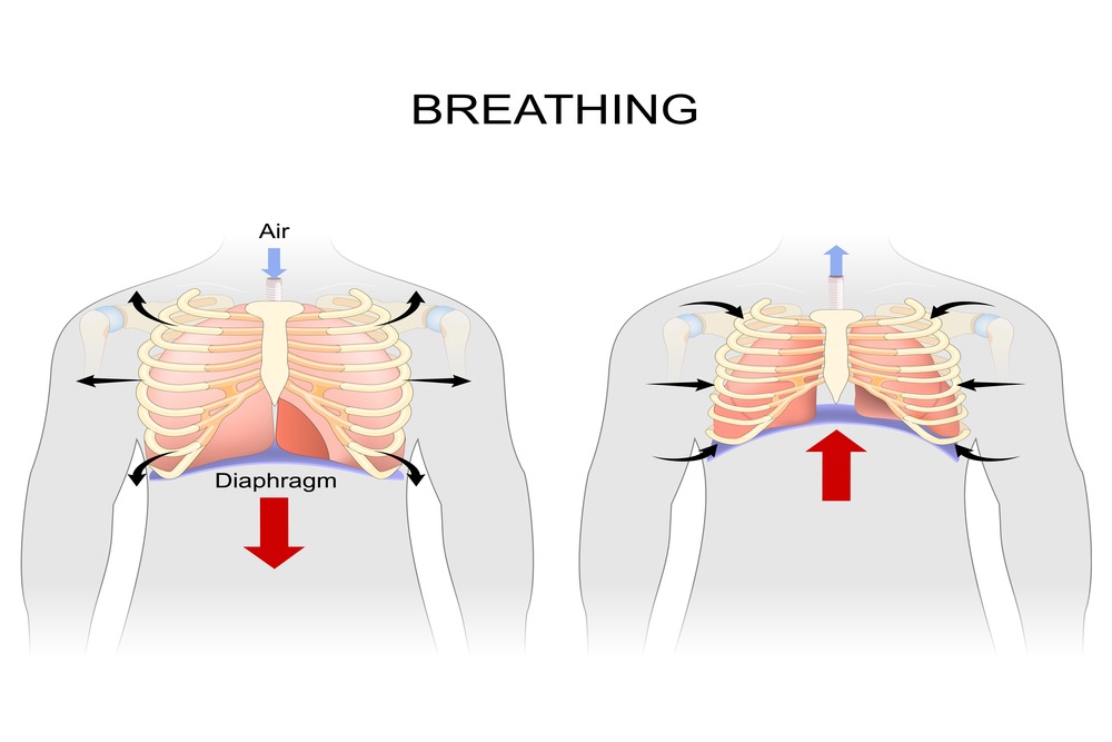 2+1 αίτια που μπορεί να οφείλεται η δυσκολία στην αναπνοή σας…